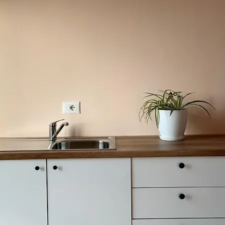 Daylight Apartment